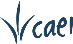 CAEI